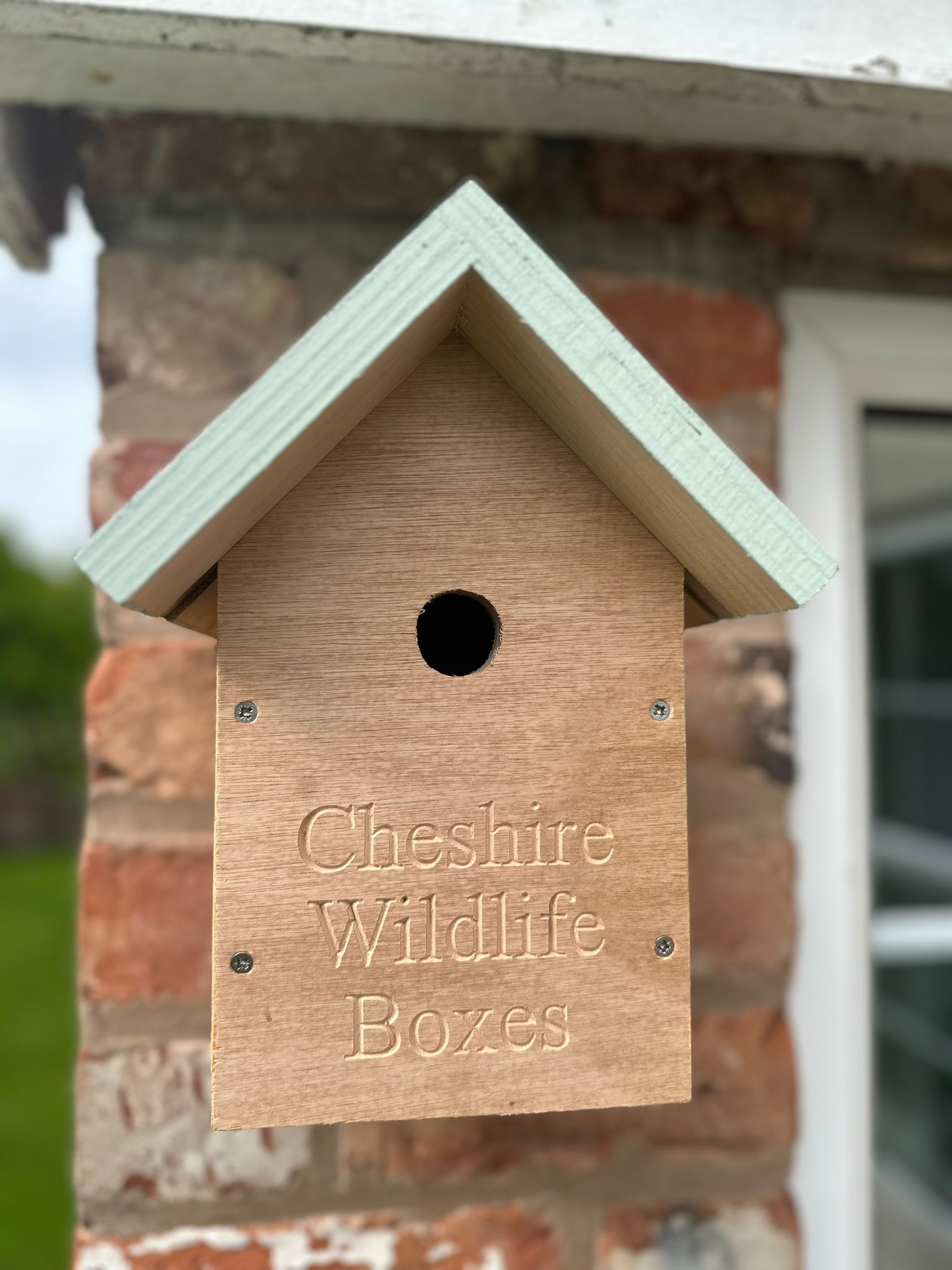 Classic Bird Box